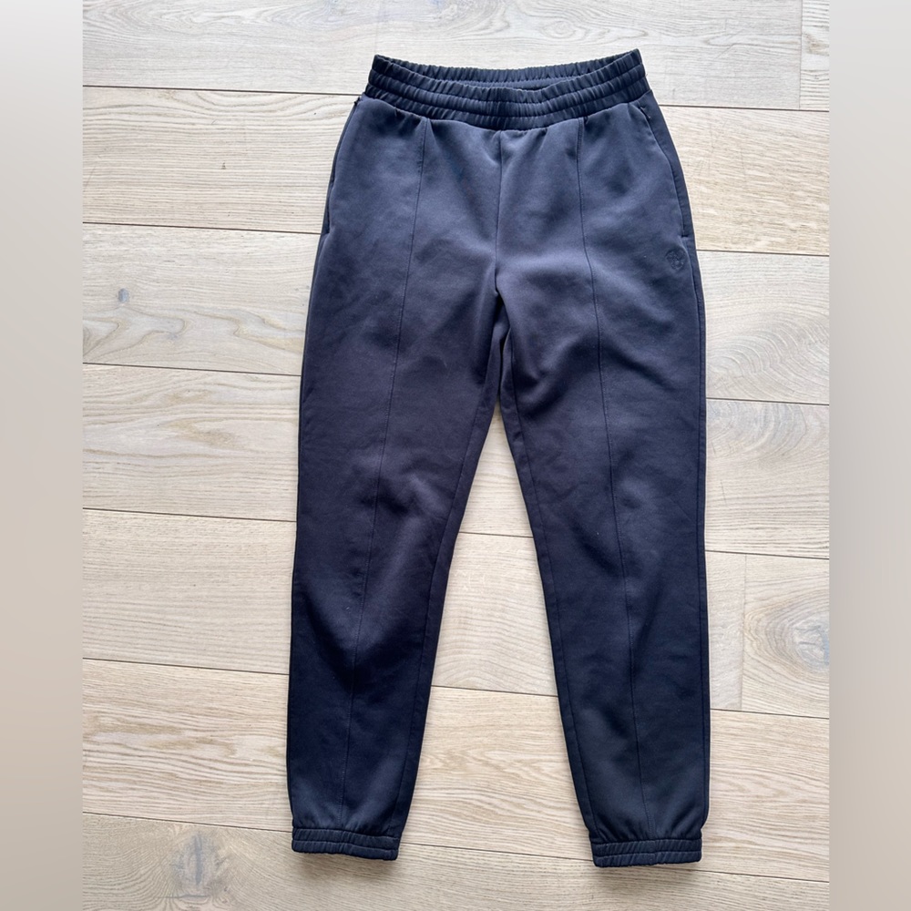 Black TNA from ARITZIA track pants